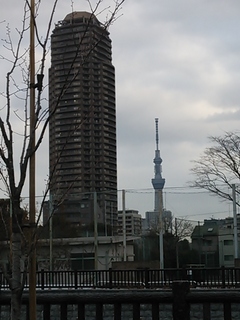 東京本社に初出勤