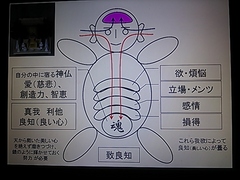 大阪に居ました