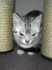 Think Possibility !!-DVC00066.jpg