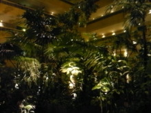 Think Possibility !!　-DVC00154.jpg