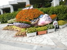 Think Possibility !!　-DVC00188.JPG