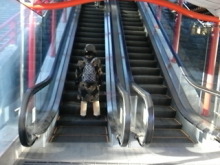 Think Possibility !!　-DVC00533.JPG
