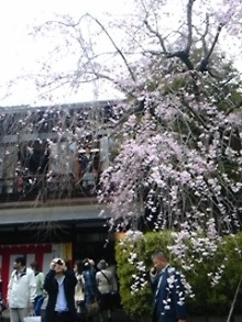 がんばろう東北　Think Possibility !!　-DVC00444.JPG