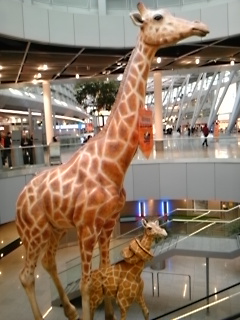 デュッセルドルフ空港なう